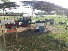 Le Jardin de Docteur Persil et Mister Ail