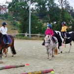 Instant présent équitation et équicoaching