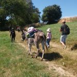 © Formation des monts du Forez - Augustine Perrin, Evasions Foreziennes