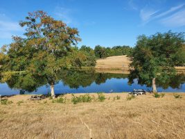 Village d'Essertines-en-Donzy