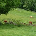 Sentier St-Jean-Soleymieux