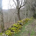 © GR®3 et variante du GR®3 'Les balcons du Haut-Forez' en Loire Forez - Anne Massip