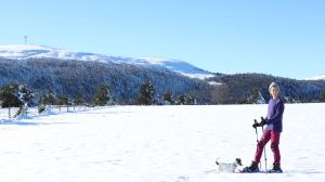 Evasions foréziennes - Accompagnatrice en moyenne montagne