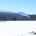 Evasions foréziennes - Accompagnatrice en moyenne montagne