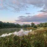 © Balade naturaliste au coeur de la Plaine du Forez - OT Forez-Est