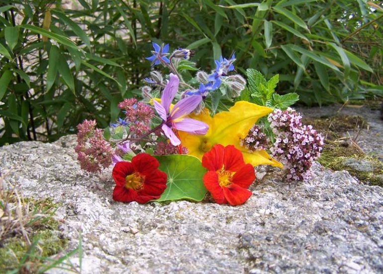 © rutardises-florales - Rutardises florales