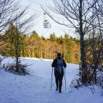 © Circuit du renard/ Fuchsweg (im Winter mit Schneeschuhen) - Office de tourisme Loire Forez