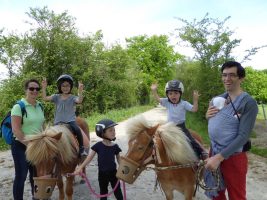 Balades en main à poney