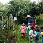 © Le Jardin des Plantes à Couleurs - OT Forez-Est