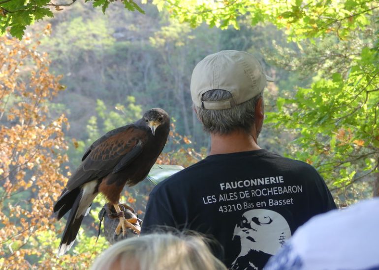 © act_balade en compagnie d'oiseaux_bas en basset - Mykolas