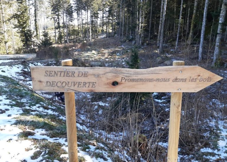 © Sentier thématique "Promenons-nous dans les bois" - OTLF