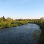 © St-Cypien / Veauchette  - A la découverte des bords de Loire - Anne Massip