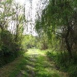 © St-Cypien / Veauchette  - A la découverte des bords de Loire - Anne Massip