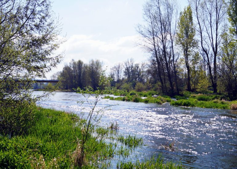 © Aire de pique-nique - Bords de Loire - OTFE