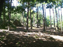 Sentier botanique de la vallée du Sault (départ de Montjean)