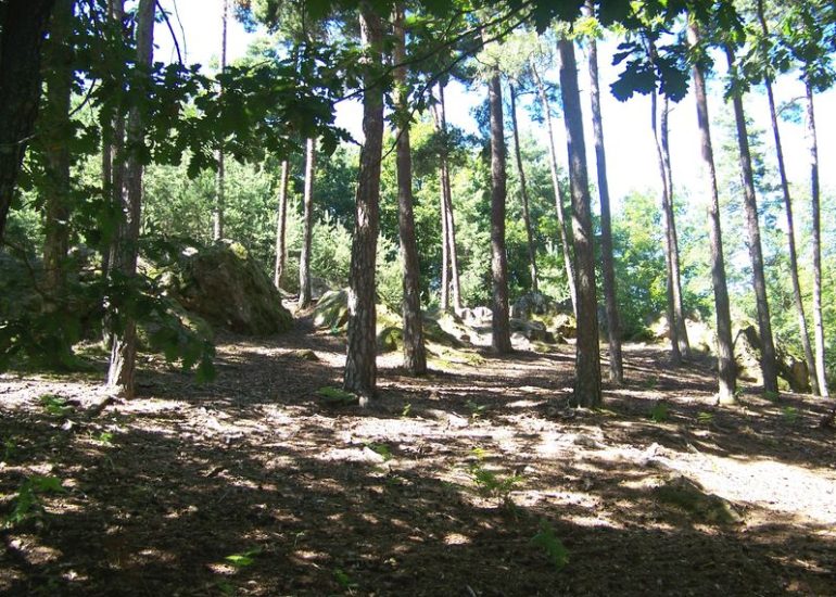 © Sentier botanique de la vallée du Sault (départ de Montjean) - OT FOREZ-EST