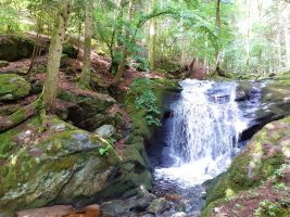 Randonnée à la cascade