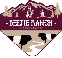 Beltie Ranch
