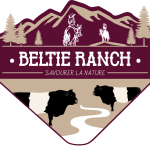 Beltie Ranch
