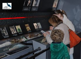 Escape Game  : "Enigmes au Musée"