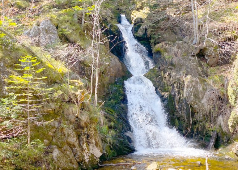 © La cascade de Chorsin - OT Loire Forez