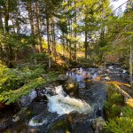 © La cascade de Chorsin - OT Loire Forez