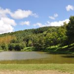 © Sentier Jarnicoton - OT Forez-Est