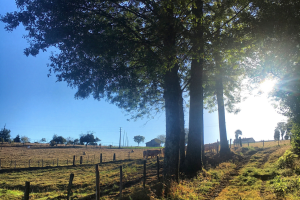 Sentier La boucle du Carrat