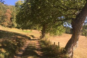 Sentier Les fermes anciennes