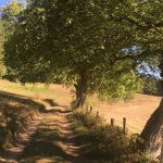© Sentier Les fermes anciennes - OT Forez-Est - CP