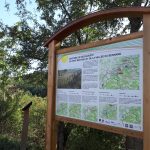 © Le bois de la dame - OT Forez-Est
