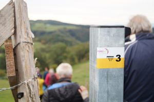 Sentier découverte du viaduc du pont marteau : les chauves-souris