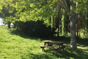 Aire de pique-nique du lavoir