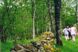 Sentier La Truche