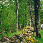 © Sentier La Truche - OT Forez-Est