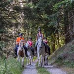 © Balades et randonnées à cheval - Agathe Courtois