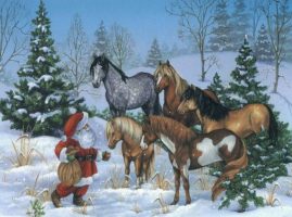 Sur les traces du père noël - balade à cheval/poney