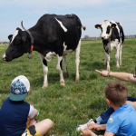 © La Ferme des Délices Foréziens - OT Forez-Est