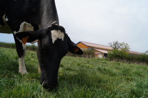 La Ferme des Délices Foréziens