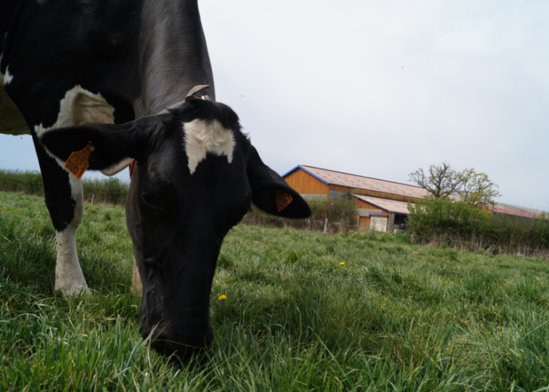 © Ferme des Délices Foréziens - OT Forez Est