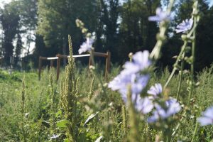 Espace de loisirs des Lonzes