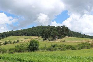 Le Vallon de la Trézaillette - PR16 - VTT