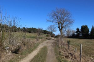 Le Puy de Montchaud - PR 15 - VTT
