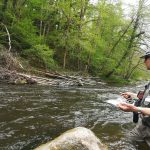 © Guide de Pêche - Miclet Mickaël - Mickael Miclet