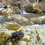 © Guide de Pêche - Miclet Mickaël - Mickael Miclet