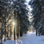 © Col de la Loge - OTLF