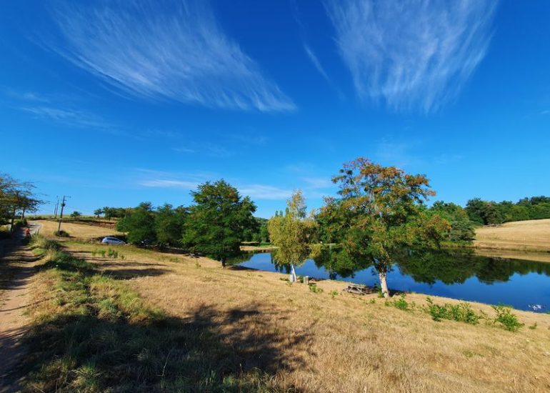 © Etang de la Tuilerie - OT Forez-Est