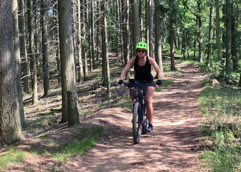 © VTT dans la forêt - OT FOREZ-EST