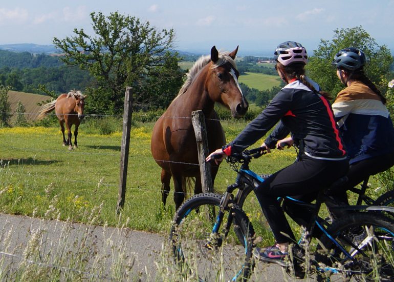 © Circuit des bois - OT FOREZ-EST