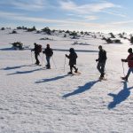 © Veillées nordiques - Forez Tourisme